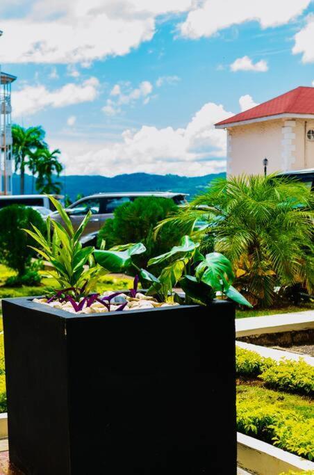 Falcon Islandview - Airport Pickup Available - 24Security Montego Bay Exterior photo